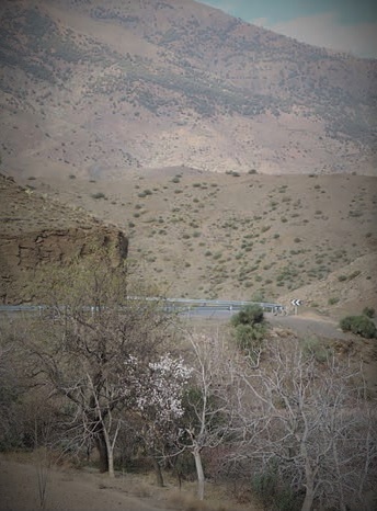 The Sahara Desert, Marrakesh, Morocco. July 2015.