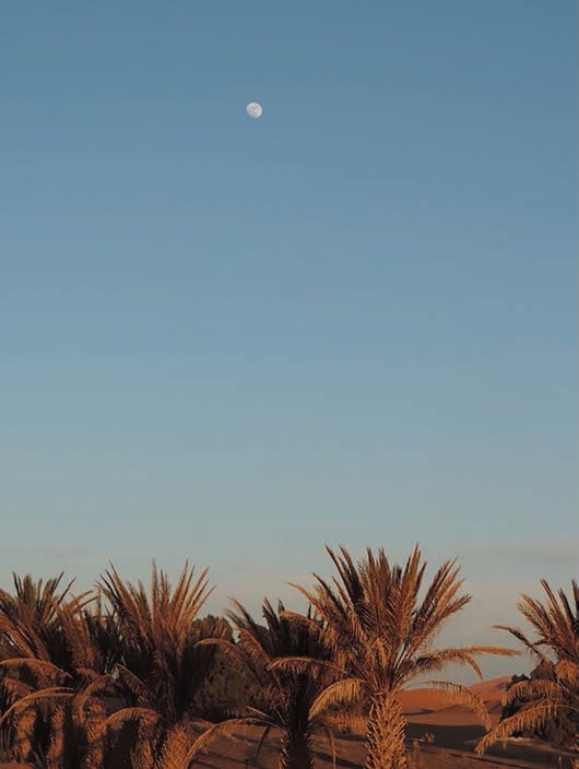 The Merzouga Desert, Sahara, Morocco. J anuary 2015.