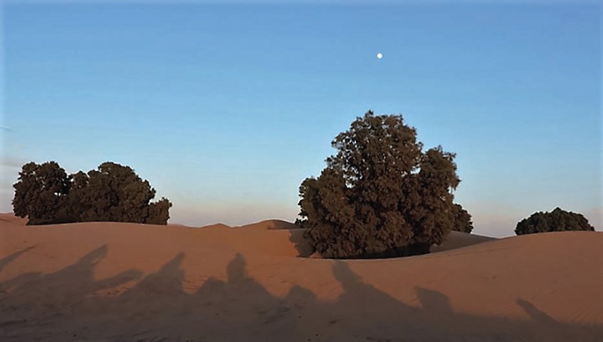 The Merzouga Desert, Sahara, Morocco. January 2015.