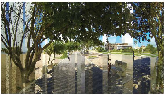 Justaposi&ccedil;&atilde;o de imagens das esta&ccedil;&otilde;es de um ano. 