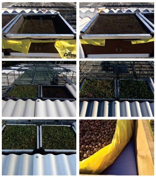 Da esquerda para a direita e de cima para baixo: amostra com 5cm de substrato e 15cm de substrato, amostras com e sem vegeta&ccedil;&atilde;o, amostras com diferentes tipos de grama, amostras com e sem isolamento t&eacute;rmico, e detalhe do isolamento t&eacute;rmico.