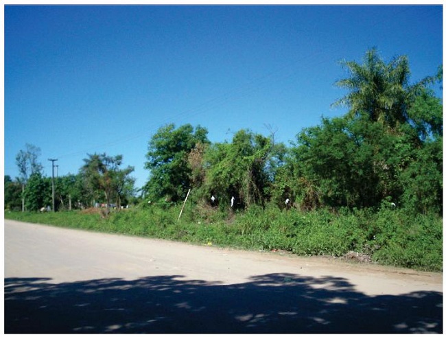 Ocupación de La Rubita en octubre de 2007. Terreno demarcado rudimentariamente.