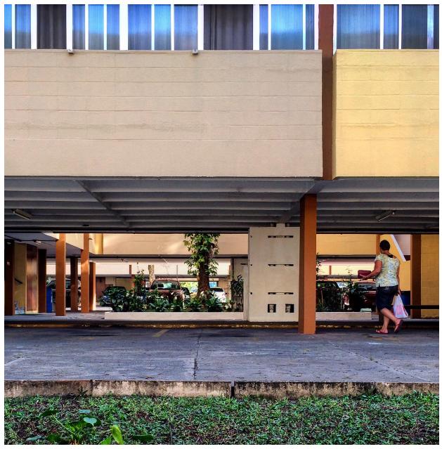 T&eacute;rreo livre e reprodu&ccedil;&atilde;o potencial ao infinito.