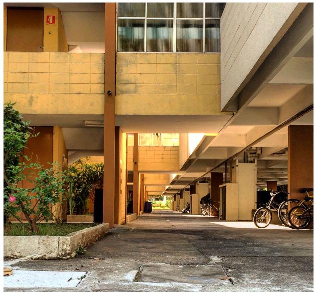 T&eacute;rreo livre e desenho do horizonte.