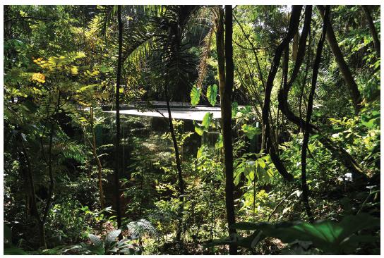Photo: Cristina Iglesias’ Vegetation Room.