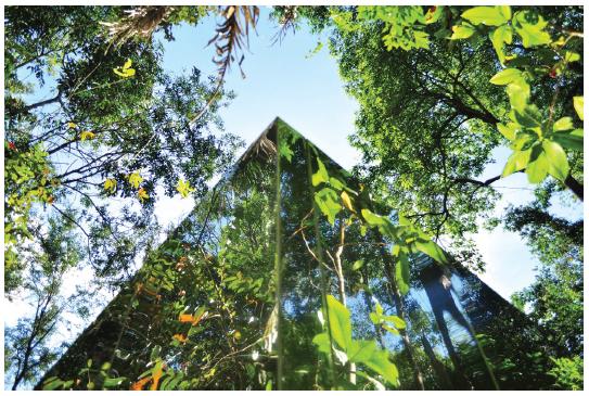Photo: Cristina Iglesias’ Vegetation Room, stainless steel detail.