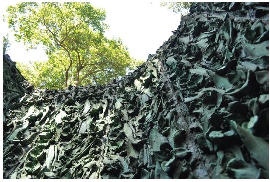 Photo: Cristina Iglesias’ Vegetation Room, inner walls engraved with vegetation.