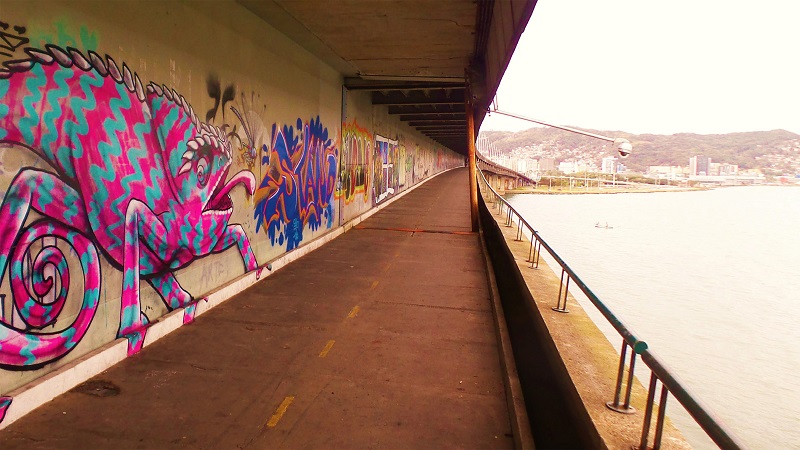 Grafite do camale&atilde;o defronte &agrave; c&acirc;mera de vigil&acirc;ncia da passarela da Ponte Pedro Ivo Campos, Florian&oacute;polis.