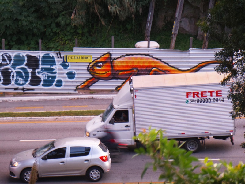 Grafite do camale&atilde;o, no tapume que resguarda as obras de restaura&ccedil;&atilde;o da Ponte Herc&iacute;lio Luz, Florian&oacute;polis.