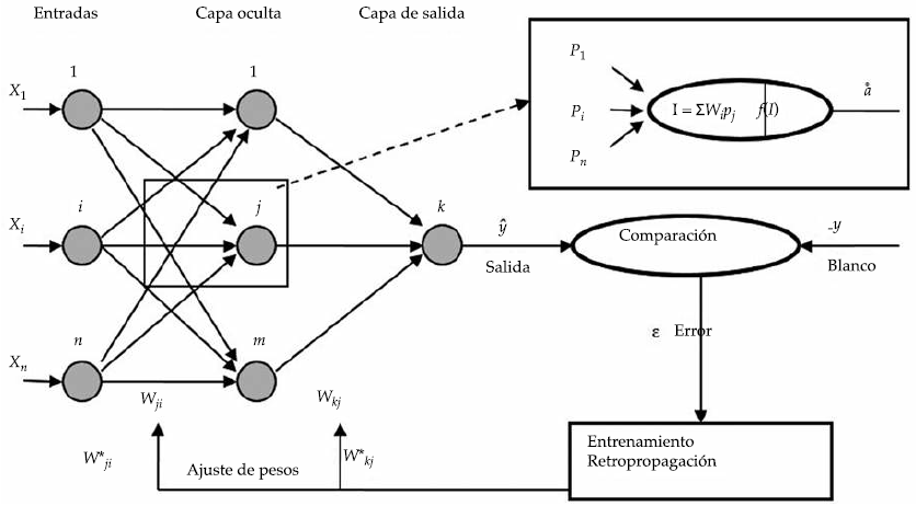 ANN FFBP alimentada hacia adelante con entrenamiento de retropropagaci&oacute;n
de los errores.