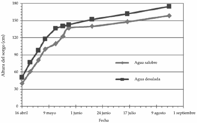 Comportamiento de altura promedio de sorgo en los dos experimentos.