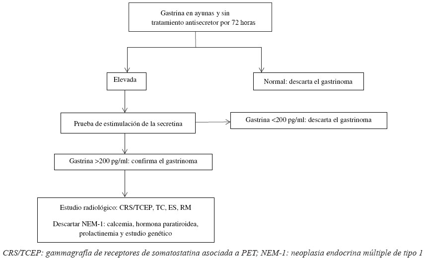 Algoritmo diagnóstico del gastrinoma.