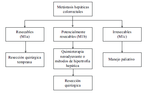 Clasificaci&oacute;n de las met&aacute;stasis hep&aacute;ticas de origen colorrectal.