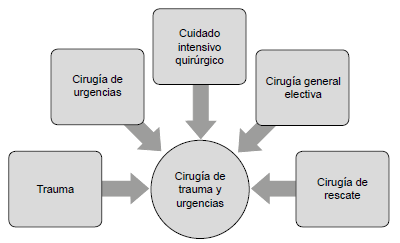 Pilares de la cirugía de trauma y emergencias