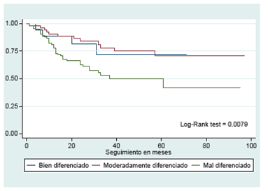 Supervivencia en meses seg&uacute;n grado de diferenciaci&oacute;n tumoral.