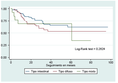 Supervivencia de pacientes en meses seg&uacute;n el tipo histol&oacute;gico del tumor.