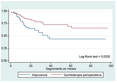 Supervivencia en meses por tipo de terapia.