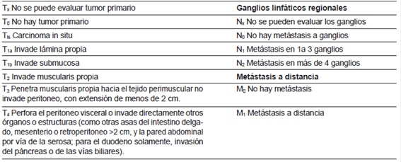 Estadificación de cáncer de intestino delgado26.