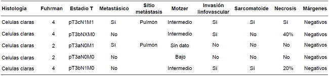Caracter&iacute;sticas de los carcinomas renales de c&eacute;lulas claras.