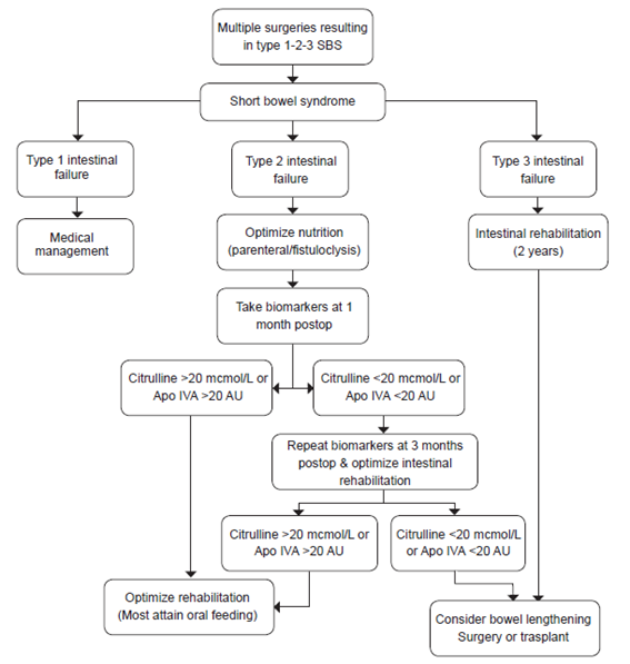 Algorithm for the approach to Intestinal failure using biomarkers in Short bowel syndrome.