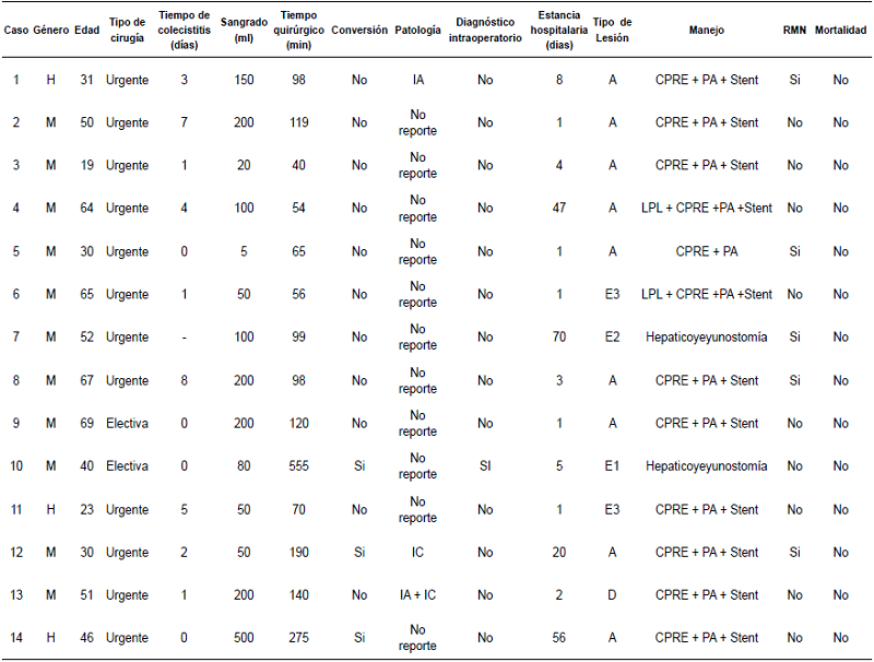Caracter&iacute;sticas de los pacientes con lesi&oacute;n de la v&iacute;a biliar y su manejo.