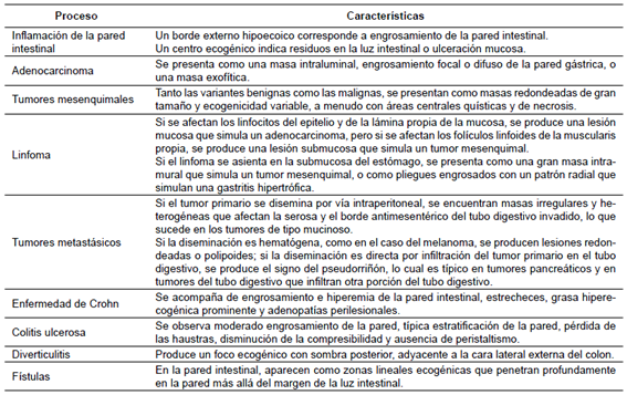 Caracter&iacute;sticas ecogr&aacute;ficas en la enfermedad intestinal.