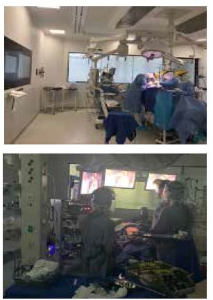 Procedimientos quir&uacute;rgicos realizados con el uso de los elementos de protecci&oacute;n personal