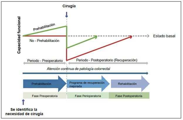 La prehabilitación multimodal mejora la capacidad funcional antes y después de la cirugía colorrectal