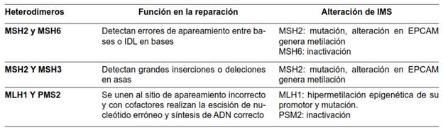 Genes implicados en la reparaci&oacute;n del &aacute;cido desoxirribonucleico (ADN) y la inestabilidad microsatelital (IMS).