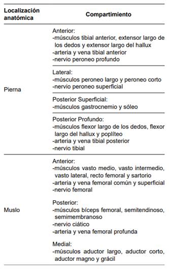 Compartimientos del miembro inferior y sus principales estructuras.