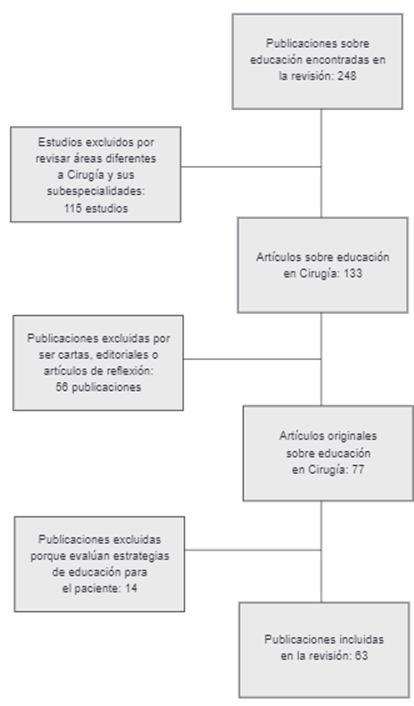 Descripción de la revisión sistemática de las publicaciones.