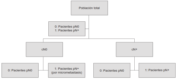 Distribución final de la población hipotética en el escenario de vaciamiento ganglionar. En el escenario de no vaciamiento, la población cN0 no se discrimina dado que no se realiza estudio histopatológico ganglionar.