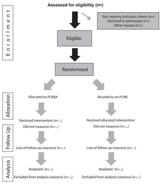 Flow diagram of the progress through the phases of a parallel randomized trial of two groups (i.e., enrollment, intervention allocation, follow-up, and data analysis). PLNB, paragastric lesser omentum nerve block.