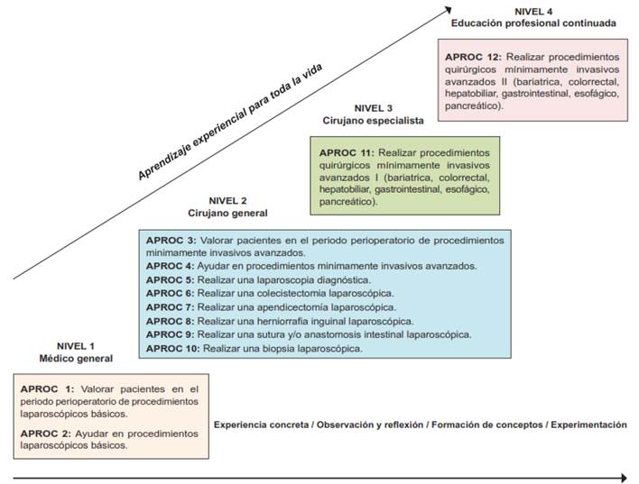 Modelo de Aprendizaje Experiencial en Cirug&iacute;a Minimamente Invasiva (MACMI) y Actividades Profesionales Confiables (APROCs).
