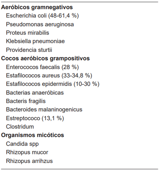 Agentes microbianos implicados como agentes etiológicos de la gangrena de Fournier.