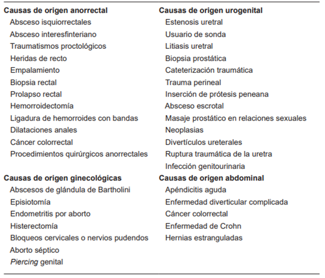 Origen anatómico de la gangrena de Fournier.
