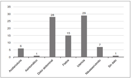 Principales manifestaciones cl&iacute;nicas descritas en los pacientes revisados.