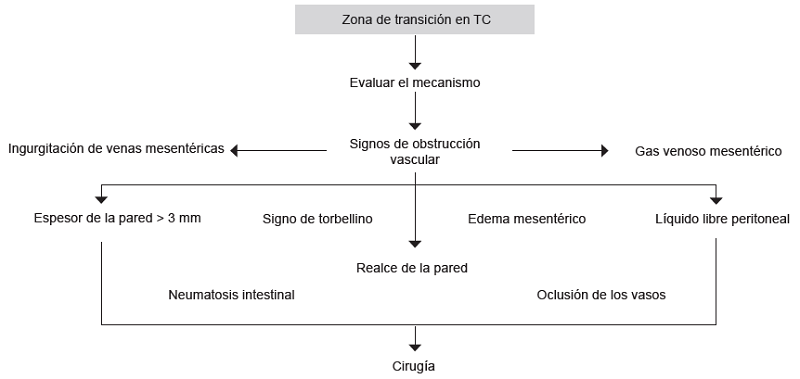 Signos radiológicos que indican la necesidad de manejo quirúrgico. Fuente: Elaboración propia por los autores con base en referencias 10,11,15
