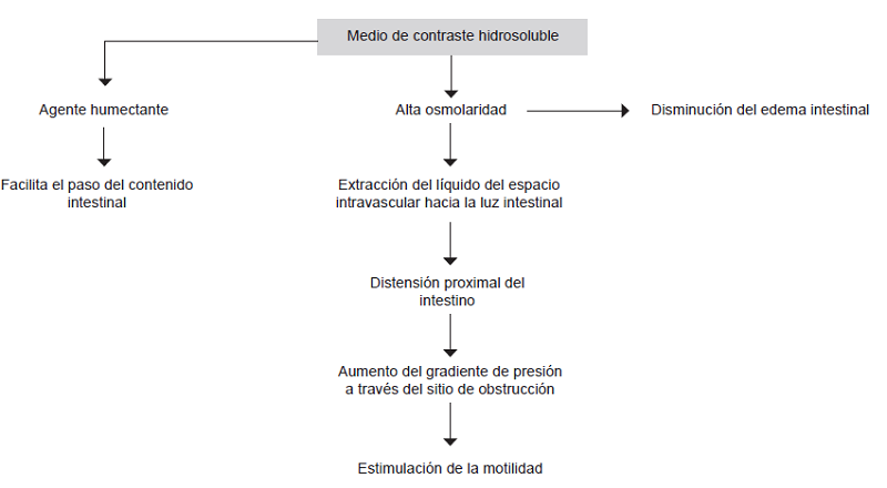 Mecanismo de acción del medio de contraste hidrosoluble.
