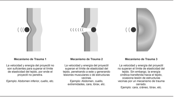 Posibles mecanismos de lesi&oacute;n tisular por proyectiles de armas de energ&iacute;a cin&eacute;tica.