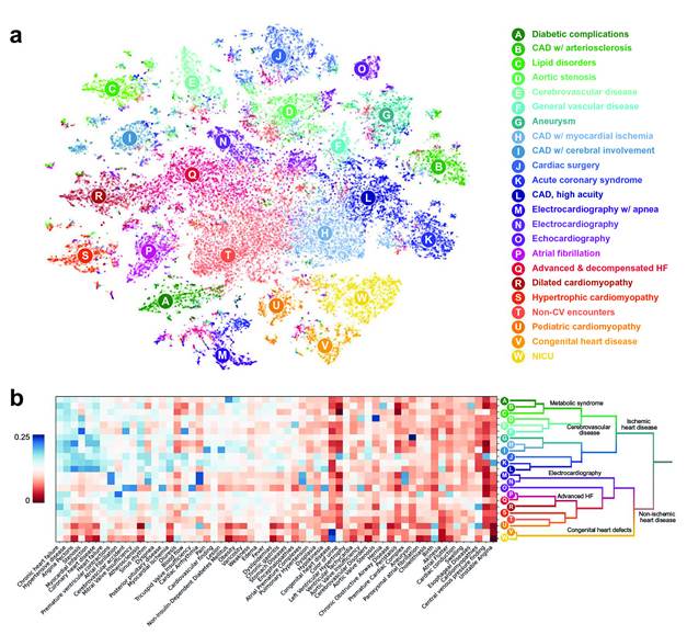 (a) Visualizaci&oacute;n 2D ejemplar de las distancias relativas entre todas las instant&aacute;neas cl&iacute;nicas de las HCE en la cohorte de insuficiencia card&iacute;aca utilizando t-SNE. Los colores muestran la asignaci&oacute;n de grupos utilizando el agrupamiento de K-medias. (b) Visualizaci&oacute;n de centroides de grupos para un subconjunto de caracter&iacute;sticas de quejas (eje x). Los centroides se clasifican por agrupaci&oacute;n jer&aacute;rquica y reflejan los fenotipos de similitud en diferentes valores de K. Las ramas se etiquetan utilizando una interpretaci&oacute;n cl&iacute;nica de la estructura jer&aacute;rquica de las agrupaciones. Cada grupo se muestra con un nombre interpretable que define el fenotipo de insuficiencia card&iacute;aca (IC). Tomado de Nagamine et al 2.