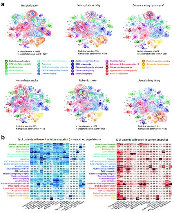 Enriquecimiento del riesgo actual y futuro de eventos cl&iacute;nicos en estados patol&oacute;gicos de IC. (a) Estimaci&oacute;n de la densidad del n&uacute;cleo de los eventos cl&iacute;nicos superpuestos a los estados de la enfermedad de IC para seis eventos: hospitalizaci&oacute;n, mortalidad hospitalaria y bypass coronario, accidente cerebrovascular hemorr&aacute;gico, accidente cerebrovascular isqu&eacute;mico y lesi&oacute;n renal aguda. La densidad roja muestra la densidad de instant&aacute;neas en las que se produce el evento cl&iacute;nico (N eventos cl&iacute;nicos). La densidad azul muestra la densidad de instant&aacute;neas antes de la primera aparici&oacute;n del evento (N instant&aacute;neas antes del evento). (b) Prevalencia de eventos cl&iacute;nicos (%) para la poblaci&oacute;n de pacientes en cada grupo de estado de enfermedad en (a). Tomado de Nagamine et al 2.