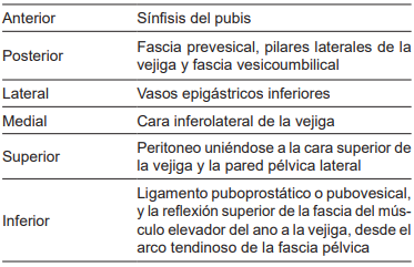 Límites del espacio de Retzius.
