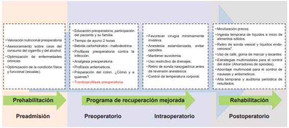 Principios generales de ERAS para la cirug&iacute;a colorrectal 1.