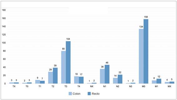  Estadificaci&oacute;n seg&uacute;n TNM para c&aacute;ncer colorrectal.