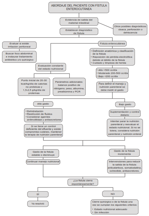 Flujograma de enfoque general del paciente con f&iacute;stula enterocut&aacute;nea.