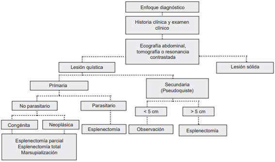 Algoritmo para el estudio, diagn�stico y manejo de lesiones espl�nicas s�lidas y qu�sticas 4.