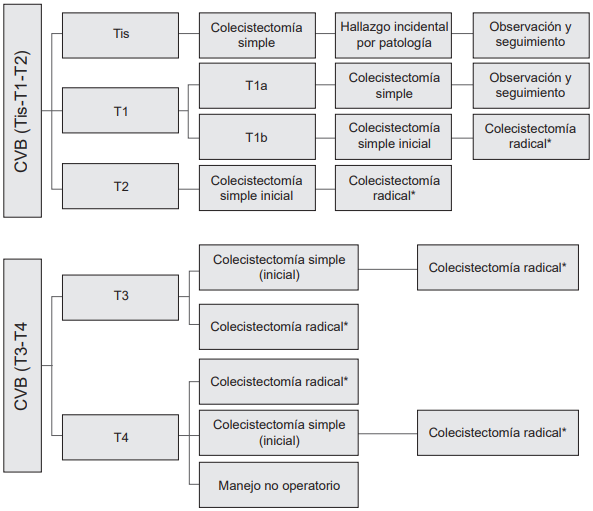 Algoritmo de manejo quir�rgico seg�n el hallazgo de la patolog�a. (*) Colecistectom�a radical: colecistectom�a + linfadenectom�a del hilio hep�tico + segmentectom�a hep�tica IVb-V.