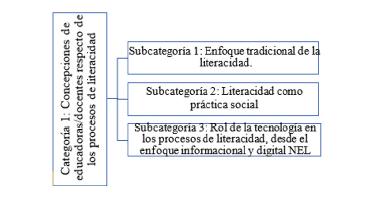 Concepciones de educadoras/docentes respecto de los procesos de literacidad.