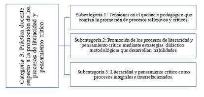 Pr&aacute;ctica docente respecto a la promoci&oacute;n de los procesos de literacidad y pensamiento cr&iacute;tico.